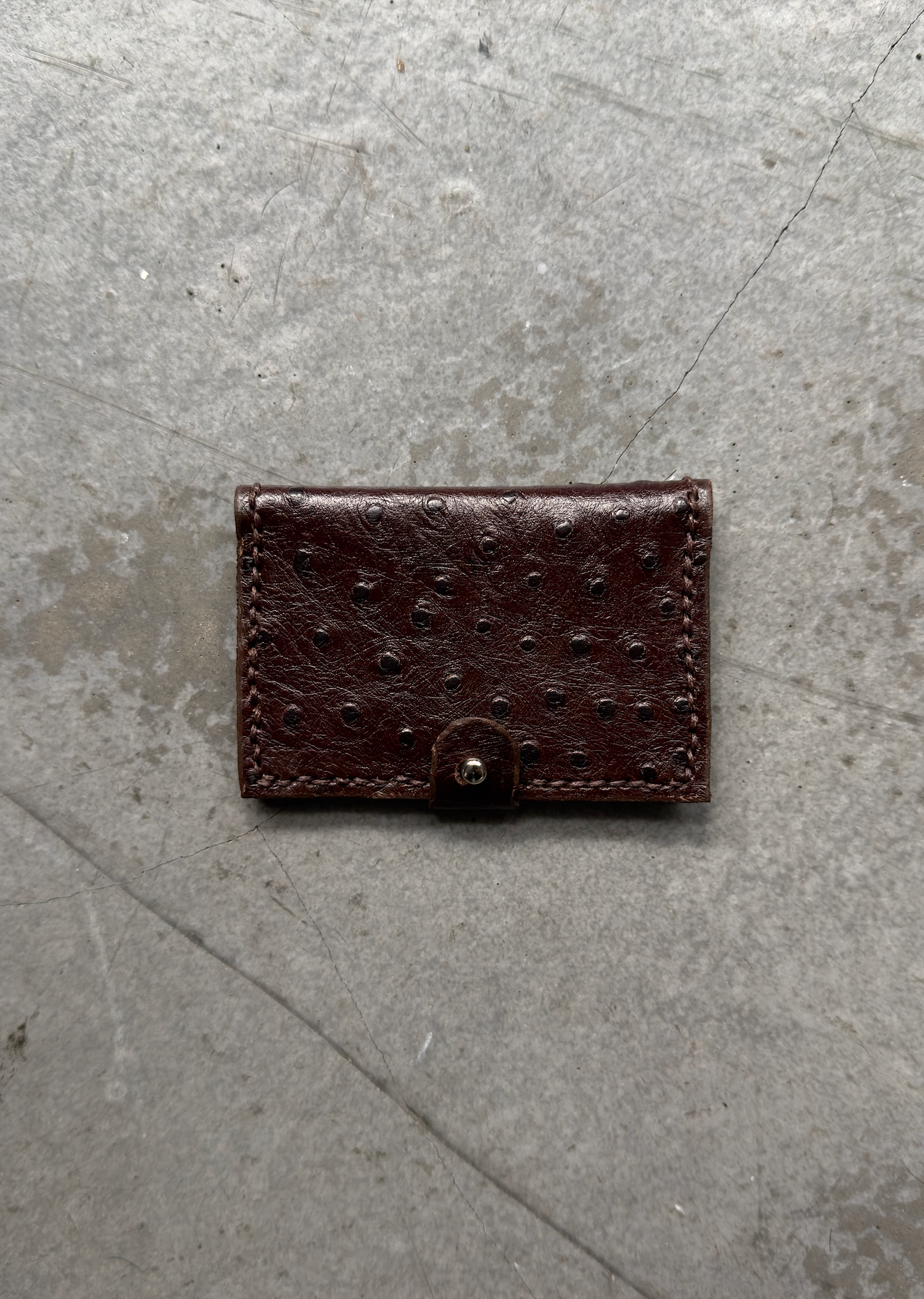Card Sleeve in Veiled Umber