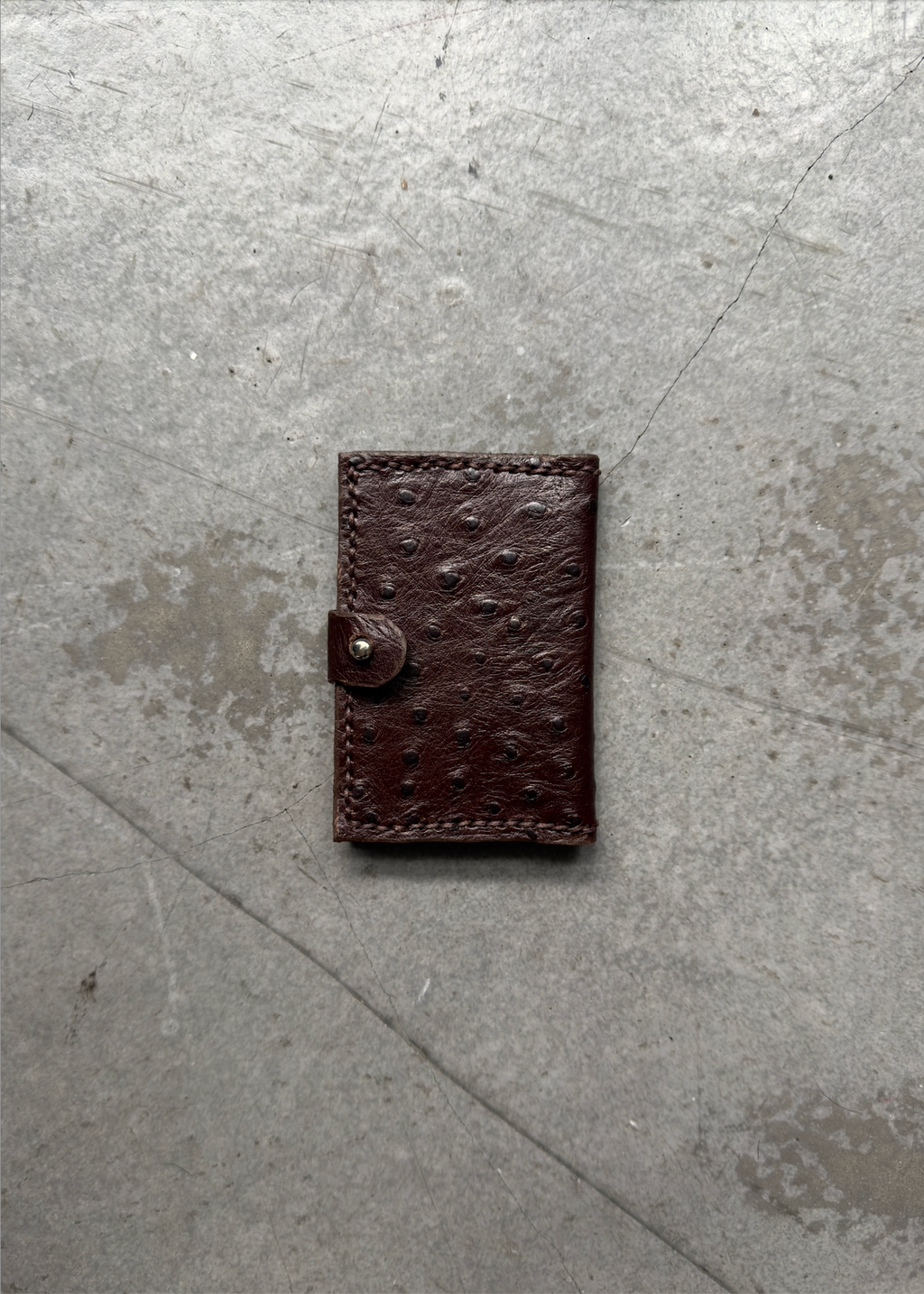 Card Sleeve in Veiled Umber