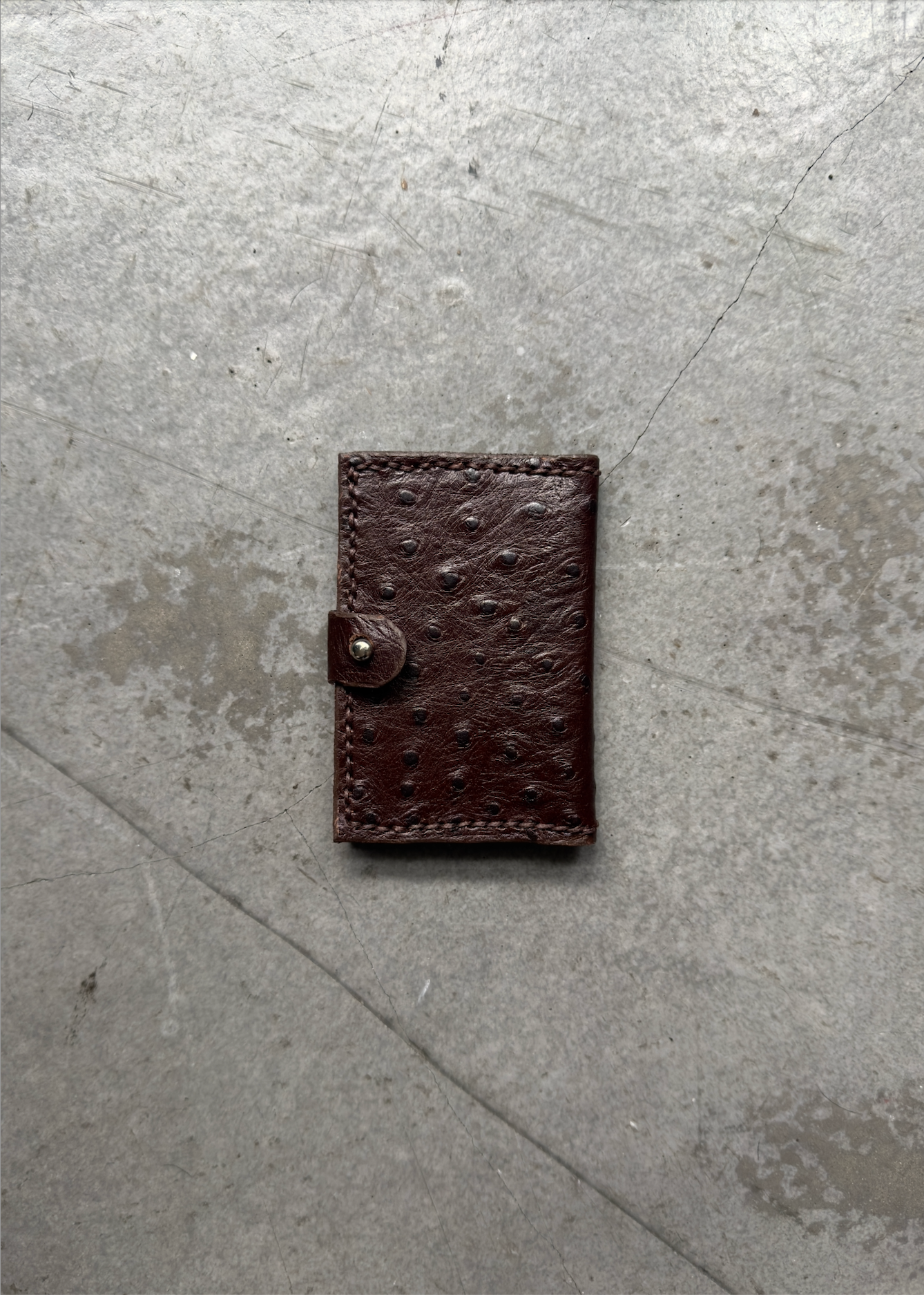 Card Sleeve in Veiled Umber